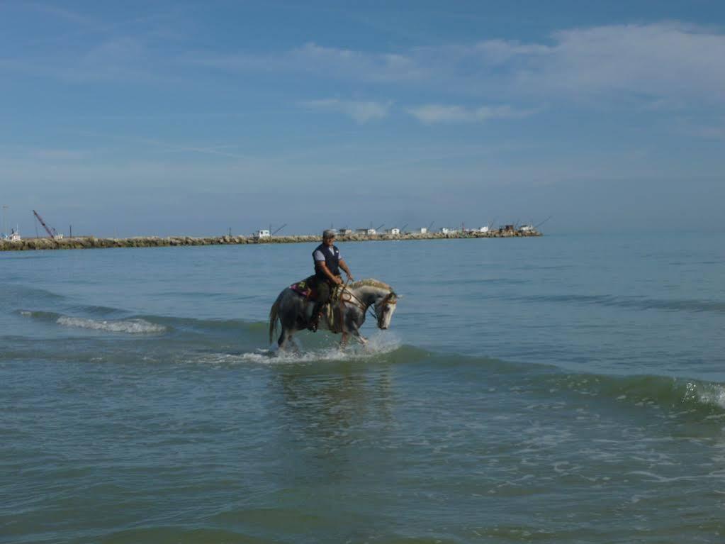 Elisir B & B Pescara Eksteriør billede